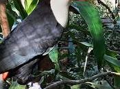 Iguazú: Información general zona Puerto Iguazú