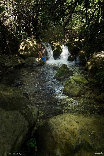 RÍO MAJACEITE. BENAMAHOMA-EL BOSQUE