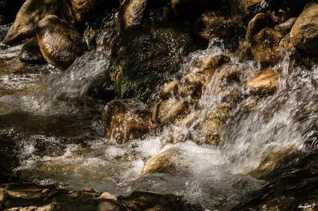 RÍO MAJACEITE. BENAMAHOMA-EL BOSQUE