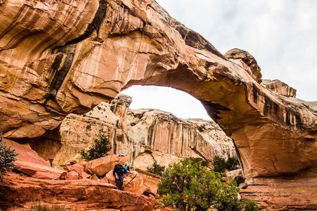 capitol-reef-national-park-hikes-1 ▷ Comente sobre 20 lugares increíbles para visitar en Utah para su viaje por carretera en Utah por Kate