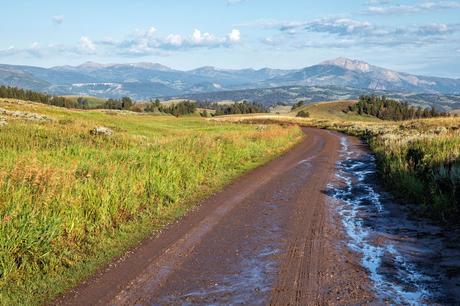 Blacktail-Plateau-Drive.jpg.optimal ▷ 18 cosas increíbles que hacer en el Parque Nacional de Yellowstone