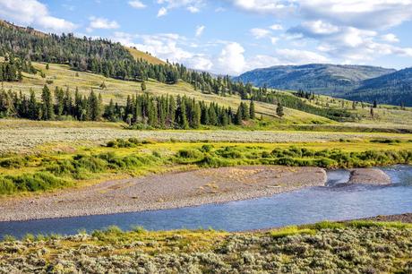 Lamar-Valley.jpg.optimal ▷ 18 cosas increíbles que hacer en el Parque Nacional de Yellowstone