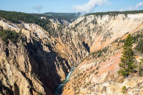 Inspiration-Point.jpg.optimal ▷ 18 cosas increíbles que hacer en el Parque Nacional de Yellowstone