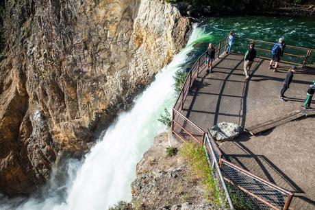 Brink-of-the-Lower-Falls.jpg.optimal ▷ 18 cosas increíbles que hacer en el Parque Nacional de Yellowstone