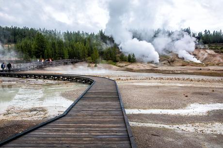 Norris-Geyser-Basin.jpg.optimal ▷ 18 cosas increíbles que hacer en el Parque Nacional de Yellowstone