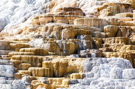 Mammoth-Hot-Springs-Terraces.jpg.optimal ▷ 18 cosas increíbles que hacer en el Parque Nacional de Yellowstone