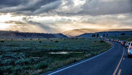 Best-things-to-do-in-Yellowstone-photo.jpg.optimal ▷ 18 cosas increíbles que hacer en el Parque Nacional de Yellowstone