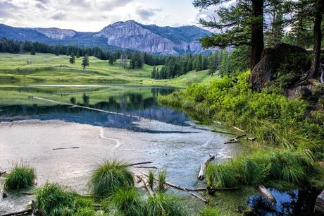 Trout-Lake.jpg.optimal ▷ 18 cosas increíbles que hacer en el Parque Nacional de Yellowstone