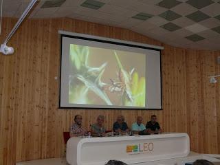 Grandes Jornadas y Gran conferencia sobre Espeleología