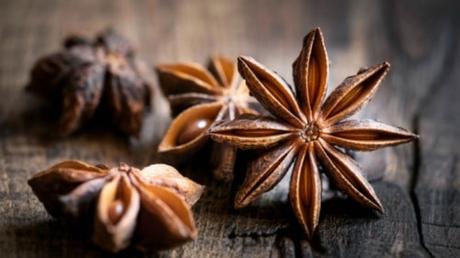 propiedades del anis estrellado