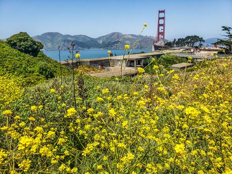 ▷ 20 gemas ocultas en San Francisco que aman los lugareños things-to-do-in-the-presidio-san-francisco ▷ 20 gemas ocultas en San Francisco que aman los lugareños