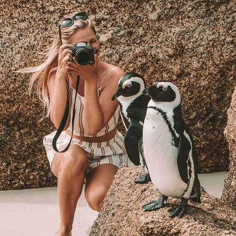 blonde-girl-penguins-south-africa ▷ Cómo hacer que tu blog se destaque de la multitud