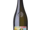 Envidia Cochina 2018