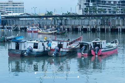 Cinta Costera Panamá Agosto 2019