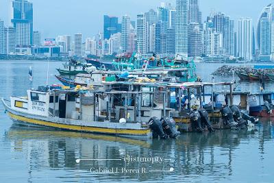 Cinta Costera Panamá Agosto 2019