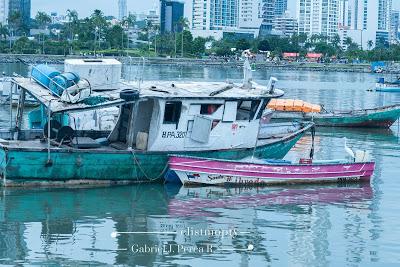 Cinta Costera Panamá Agosto 2019