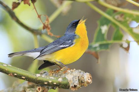 Parque Nacional de Santa Teresa