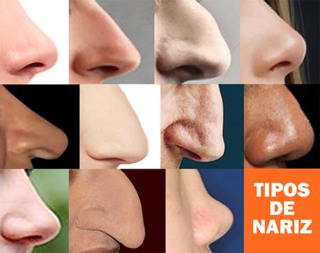 Los tipos de nariz que existen revelan mucho acerca de la personalidad