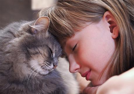 ¿Aman menos los gatos que los perros? ¿Aman menos los gatos que los perros?