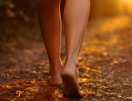 Volver a lo natural Volver a lo natural