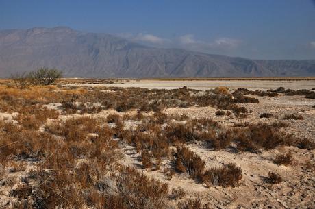 northern_mexico ▷ 9 regiones más bellas de México