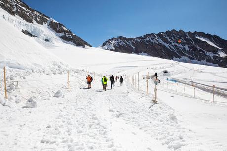 Trail-to-Monchsjochhutte.jpg.optimal ▷ Una visita a Jungfraujoch, la cima de Europa ... ¿Vale la pena?