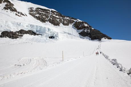 Snow-Hike.jpg.optimal ▷ Una visita a Jungfraujoch, la cima de Europa ... ¿Vale la pena?