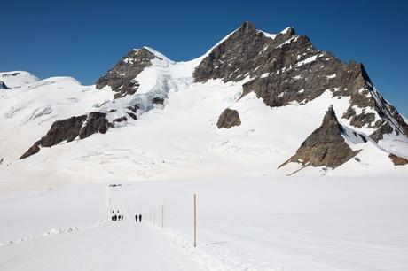 Hike-Jungfraujoch.jpg.optimal ▷ Una visita a Jungfraujoch, la cima de Europa ... ¿Vale la pena?