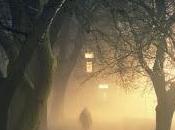niebla...