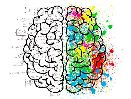 Neuromito: La creatividad se encuentra en el hemisferio derecho del cerebro