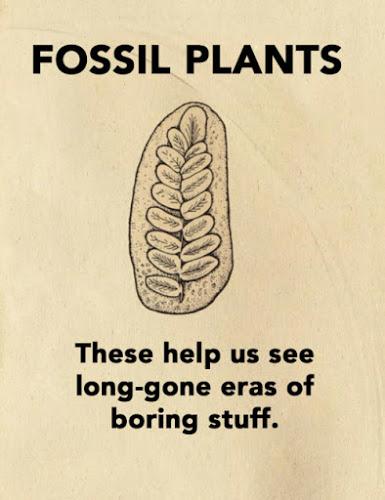 Fossil Plants