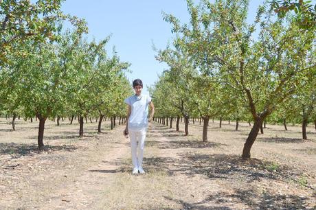 BLOGSSIPGIRL LO HA PROBADO Y TE PRESENTA: ALME, ACEITE PURO DE ALMENDRAS