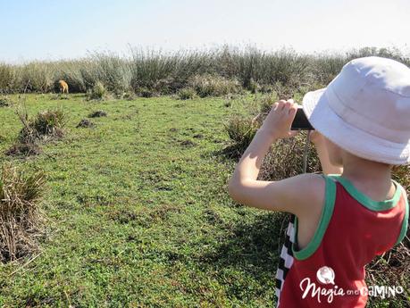 Los Esteros del Iberá con niños Los Esteros del Iberá con niños