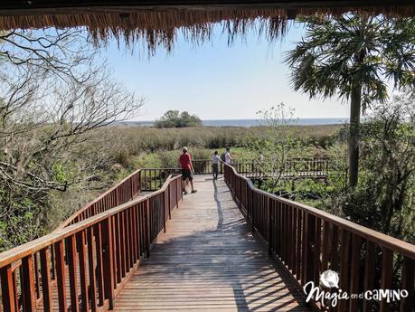 Los Esteros del Iberá con niños Los Esteros del Iberá con niños