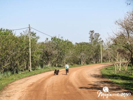 Los Esteros del Iberá con niños