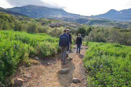First-part-of-the-hike.jpg.optimal ▷ Cascada de Glymur: la guía completa de senderismo