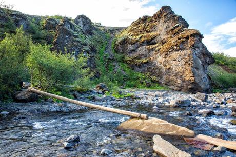 Glymur-River-Crossing-Log.jpg.optimal ▷ Cascada de Glymur: la guía completa de senderismo
