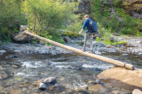 Log-Crossing-Glymur-Waterfall.jpg.optimal ▷ Cascada de Glymur: la guía completa de senderismo