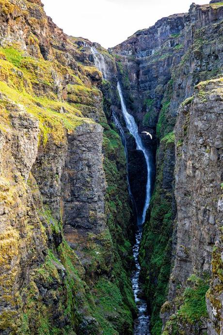 Glymur-Waterfall-Photo.jpg.optimal ▷ Cascada de Glymur: la guía completa de senderismo