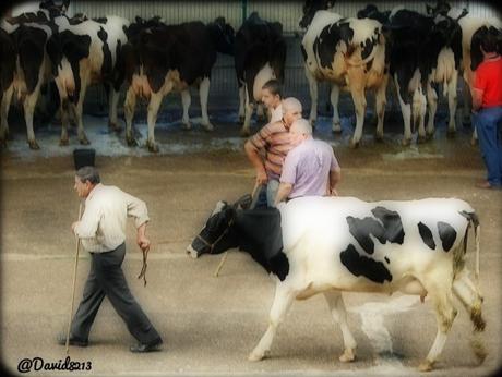 Mercado Nacional de Ganados de Torrelevega 4 septiembre: feria récord