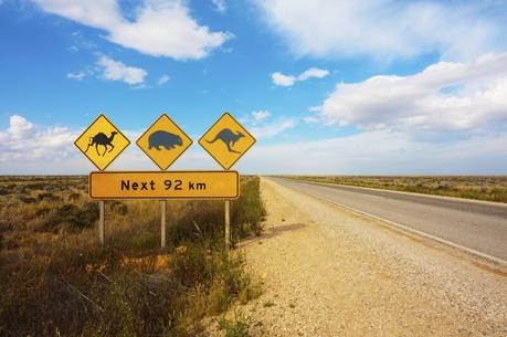 cool-Aussie-signs ▷ Comentario sobre ADVERTENCIA: Australia está llena de cosas que te matarán (fastidiarlo; visita de todos modos) por Kate Sherrill