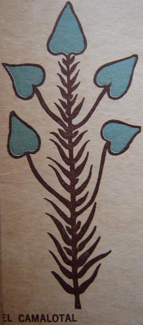 Arco Iris - Inti-Raymi (1973) Arco Iris - Inti-Raymi (1973)