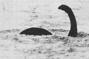 ¿La verdad del mounstro del lago Ness? ¿La verdad del mounstro del lago Ness?
