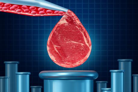 Carne de laboratorio: ¿Es posible que sustituya a la producción convencional?