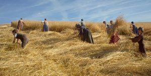 La mujer que sabía leer | Blog de cine