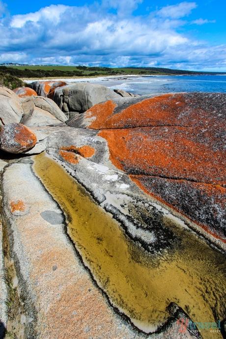 ▷ Comenta sobre los 14 mejores viajes por carretera en Australia de los 7 lugares más hermosos de Oceanía – Soapietv Bay-of-Fires-Tasmania-12 ▷ Comenta sobre los 14 mejores viajes por carretera en Australia de los 7 lugares más hermosos de Oceanía - Soapietv