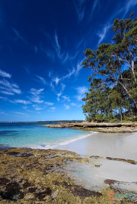 Booderee-National-Park-Jervis-bay-8 ▷ Comenta sobre 14 mejores viajes por carretera en Australia por 7 lugares más bellos de Oceanía | Cielo32