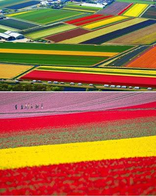 republicanos españoles Nueve