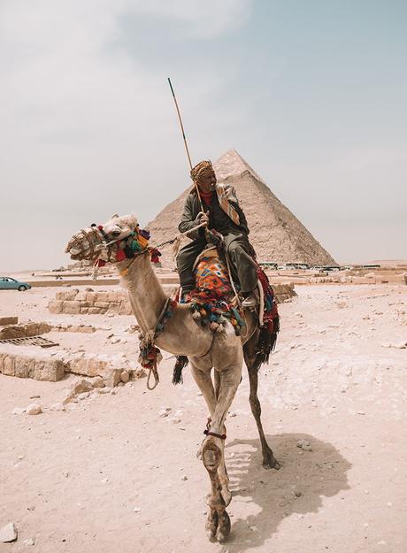 giza-pyramid-camel ▷ Itinerario de 5 días en Egipto para El Cairo y las pirámides