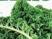KALE, súper alimento verde